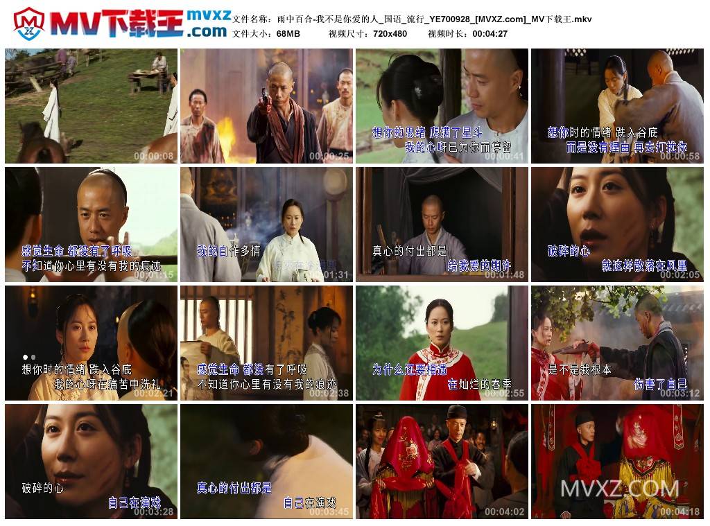 雨中百合-我不是你爱的人_国语_流行_YE700928